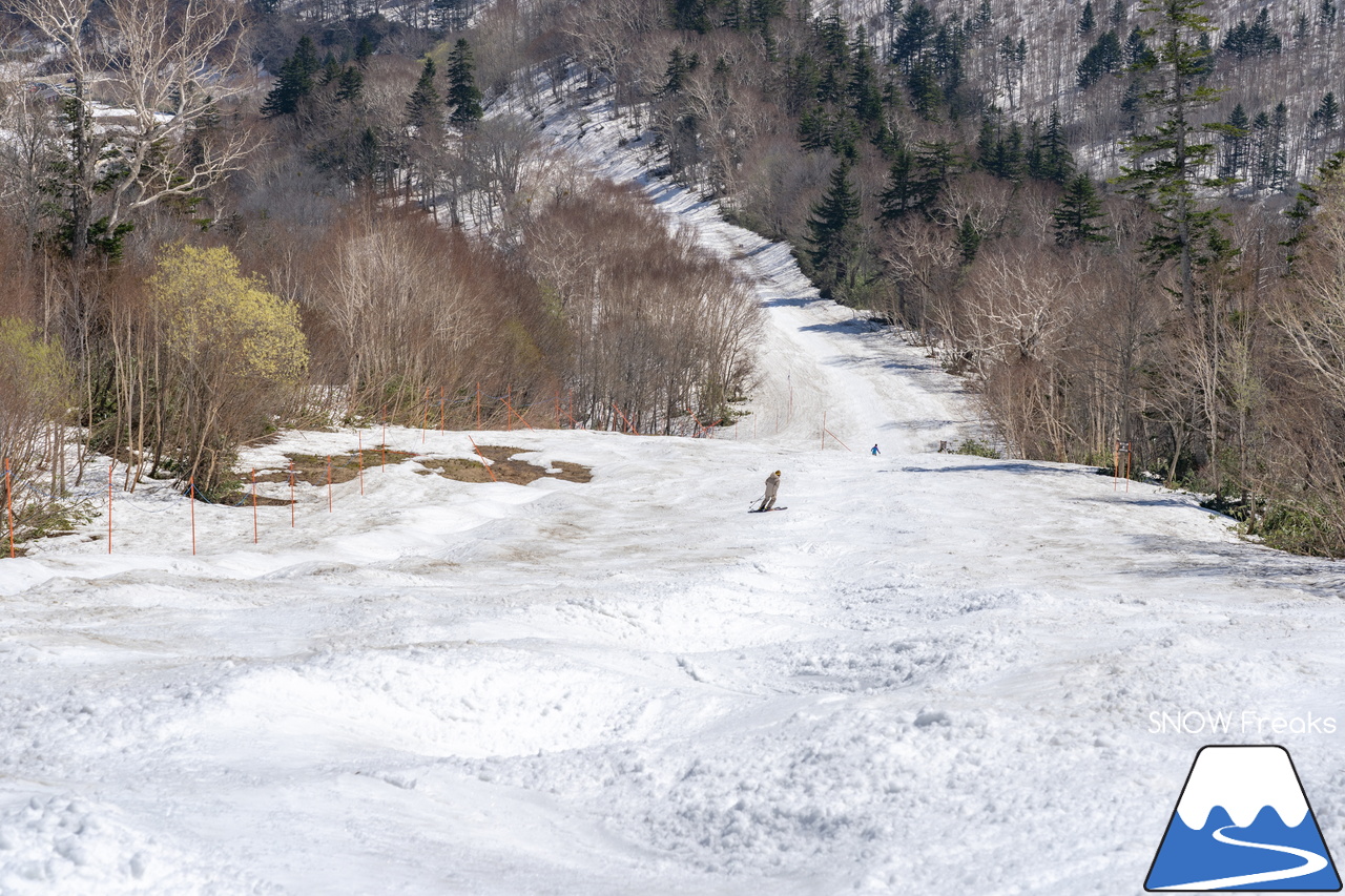 札幌国際スキー場｜シーズン終了まで、いよいよカウントダウン。最終営業日は、5月6日（月祝）です！